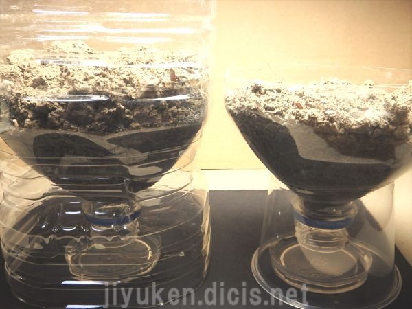 ツルグレン装置で土壌生物を観察
